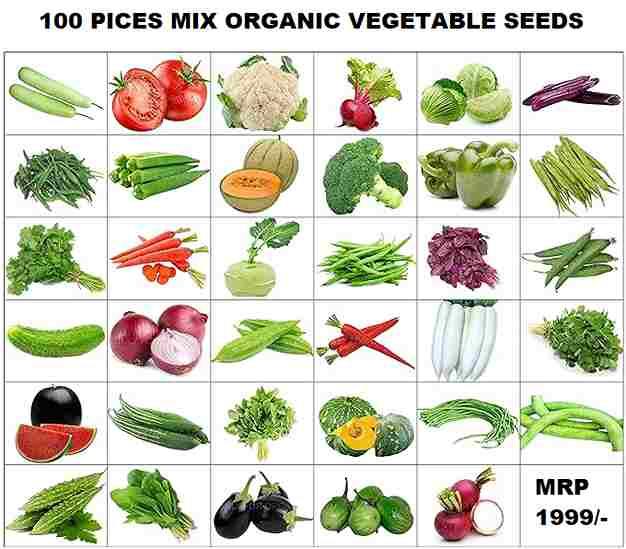 Organic Mix Varieties 100 pieces  Seeds With 5 pieces  Grow Bag