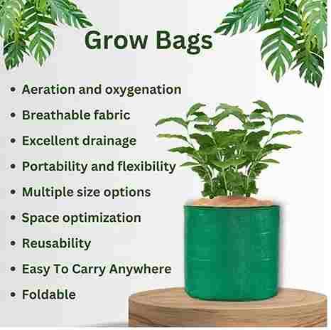 Organic Mix Varieties 100 pieces  Seeds With 5 pieces  Grow Bag